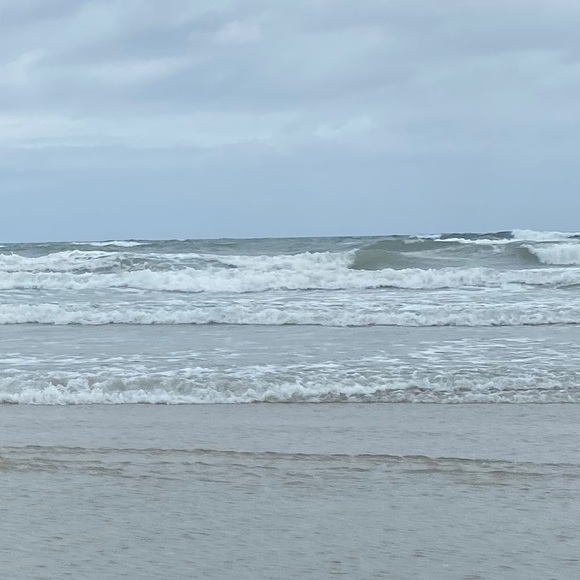 Meet your Posher, Lexi - Picture 1 of 1